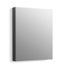 Maxstow 20" W x 24" H Single-Door Medicine Cabinet with Mirrored Door, K-81145-DA1