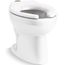 Wellcomme Ultra Floor-Mount Top Spud Antimicrobial Flushometer Bowl (White)