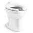 Wellcomme Ultra Floor-Mount Top Spud Antimicrobial Flushometer Bowl with Lugs (White)