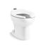 Juvenile Ultra 1.0/1.1 /1.28/1.6 gpf Top Spud Floor-Mount Flushometer Toilet (White)