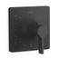 Venza Rite-Temp Valve Trim (Matte Black)