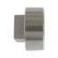 T304 2" Stainless Steel Square Head Plug