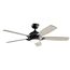 Geno LED 3000K 54" Fan (Satin Black)