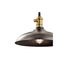 Cobson 7.5" 1 Light Convertible Pendant or Semi Flush (Olde Bronze) w/ (Natural Brass) Accents