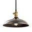 Cobson 7.5" 1 Light Convertible Pendant or Semi Flush (Olde Bronze) w/ (Natural Brass) Accents