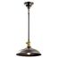 Cobson 7.5" 1 Light Convertible Pendant or Semi Flush (Olde Bronze) w/ (Natural Brass) Accents
