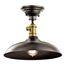 Cobson 8" 1 Light Convertible Pendant or Semi Flush (Olde Bronze) w/ (Natural Brass) Accents
