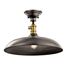 Cobson 8" 1 Light Convertible Pendant or Semi Flush (Olde Bronze) w/ (Natural Brass) Accents