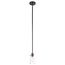 Braelyn 8.5" 1 Light Mini Pendant w/ Clear Seeded Glass (Olde Bronze)