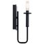 Alden 1 Light Wall Sconce (Black)