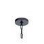 Abbotswell 6 Light Chandelier (Black)