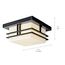 Tremillo 11.5" 2 Light Outdoor Semi Flush Light w/ Satin Etched Cased Opal (Black)