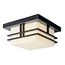 Tremillo 11.5" 2 Light Outdoor Semi Flush Light w/ Satin Etched Cased Opal (Black)