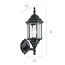 Chesapeake 17" 1 Light Outdoor Wall Light w/ Clear Beveled Glass (Black)