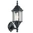 Chesapeake 17" 1 Light Outdoor Wall Light w/ Clear Beveled Glass (Black)