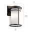 Toman 10.25" LED Outdoor Wall Light w/ Satin Etched Glass (Olde Bronze)