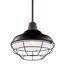 Pier 1 Light 12" Convertible Pendant (Black)