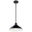 Pier 1 Light 12" Convertible Pendant (Black)