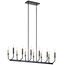 Armand 42.75" 12 Light Linear Chandelier (Black/Bronze)