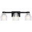 Vionnet 24" 3 Light Vanity Light w/ Clear Glass (Black)