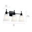 Cosabella 24" 3 Light Vanity Light w/ Etched White Glass (Black)
