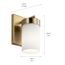 Ciona 9" 1 Light Wall Sconce w/ Round Ribbed Glass Brushed (Natural Brass)