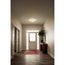 Avon 14" LED Flush Mount w/ Acrylic (Brushed Nickel)