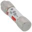 0.25 Amp Slo-Blo Time-Delay, Class CC Fuse (600V)