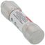 0.8 Amp Slo-Blo Time-Delay, Class CC Fuse (600V)