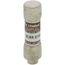 0.3 Amp Fast-Acting, Class CC Fuse (600V)