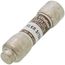 0.3 Amp Fast-Acting, Class CC Fuse (600V)