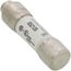 0.3 Amp Fast-Acting, Class CC Fuse (600V)