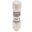 1 Amp Fast-Acting, Class CC Fuse (600V)