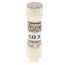 2 Amp Fast-Acting, Class CC Fuse (600V)