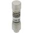 10 Amp Fast-Acting, Class CC Fuse (600V)