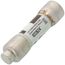 10 Amp Fast-Acting, Class CC Fuse (600V)