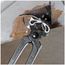 12" Farriers' Pincers