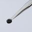 2-3/4" Premium Stainless Steel Gripping Tweezers, Blunt Tips