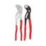 2 Piece Cobra Water Pump and Pliers Wrench Set (10")