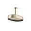 Oblong 12" Single-Function Rainhead, 2.5 GPM (Vibrant Brushed Bronze), K-26293-BV