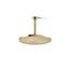 Contemporary Round Round 10" 1-Function Rainhead, 1.75 Gpm (French Gold), K-13689-G-AF