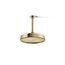8" Rainhead, 1.75 Gpm (French Gold), K-13692-G-AF