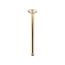 12" Ceiling-Mount 1-Function Rainhead Arm, Flange (French Gold), K-7392-AF