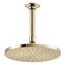 Contemporary Round 8" Single-Function Rainhead, 1.75 Gpm (Vibrant French Gold), K-13688-G-AF