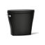 Toilet Tank, 1.28 Gpf (Black/Black), K-20203-7