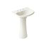 Cimarron 22-3/4" Rectangular Pedestal Bathroom Sink (Biscuit), K-2362-8-96