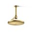 Open Rain Iconic Single-Function Rainhead, 2.5 GPM (Vibrant Brushed Moderne Brass), K-26301-2MB