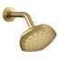 Occasion Single-Function Showerhead, 2.5 Gpm (Vibrant Brushed Moderne Brass), K-27050-2MB