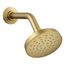 Elate Single-Function Showerhead, 1.75 Gpm (Vibrant Brushed Moderne Brass), K-33641-G-2MB