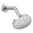 Elate Single-Function Showerhead, 2.5 Gpm (Polished Chrome), K-33641-Y-CP